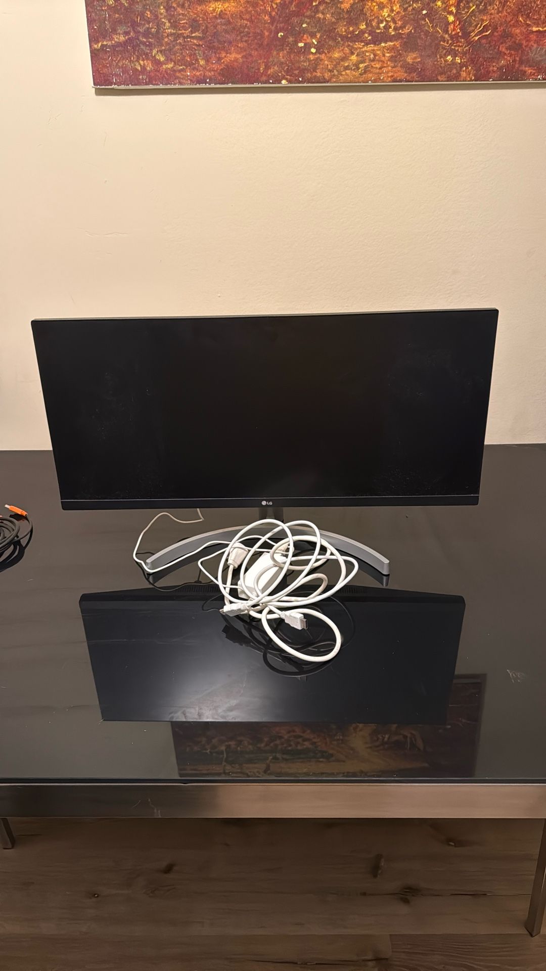 LG 29” Widescreen Monitor (29wn600)