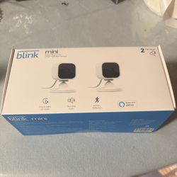 Blink Mini 