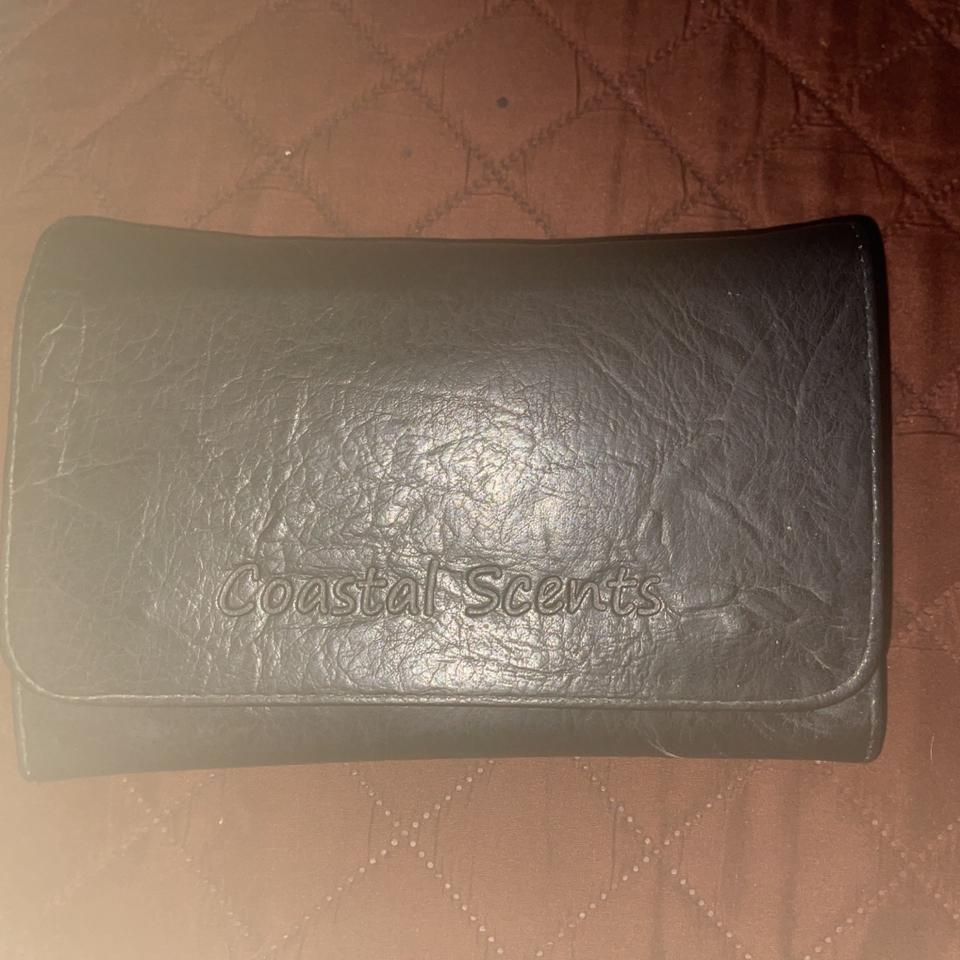 Coastal Scents 22 Piece Brush Set