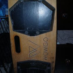 Wowgo Electric Skateboard With Wireless Hand Controller
