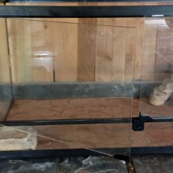 Reptile aquarium
