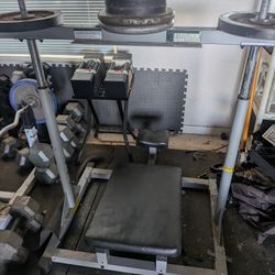 Vertical Leg Press