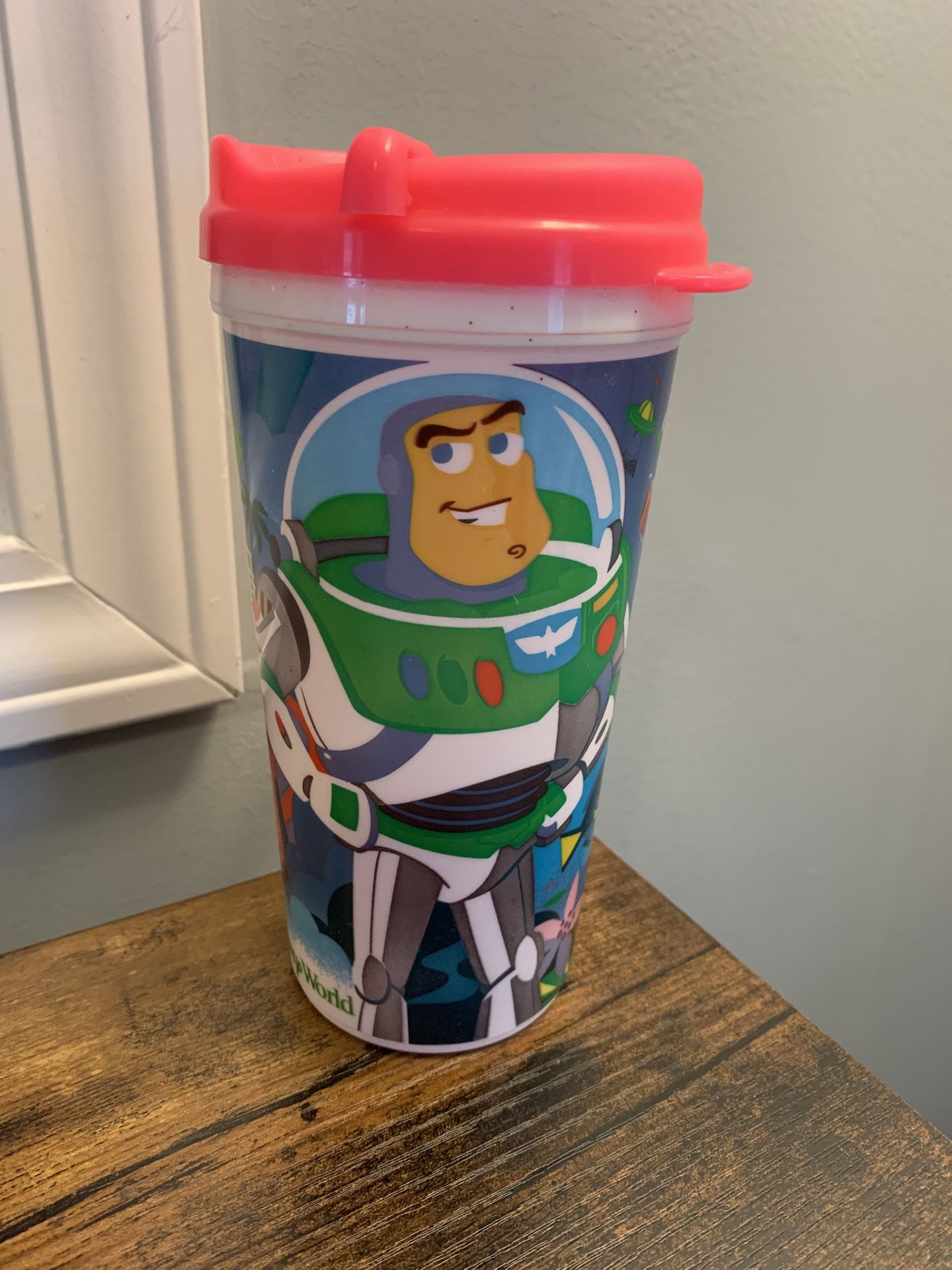 Walt Disney World Mug