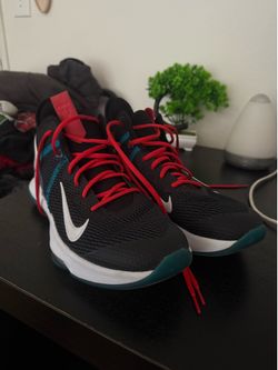 Nike LeBron Witness 4 "Red Carpet" Basketball Shoes – Size 12