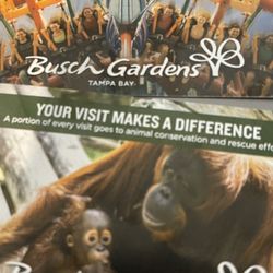 2 Busch Garden Tickets tampa