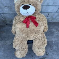  Soft Teddy Bear 4’ X 2’