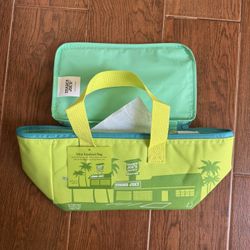 Trader Joes Mini Insulated Bag Green