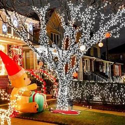 Alguien K Este Disponible Para Mañana Para Remover Christmas Lights 
