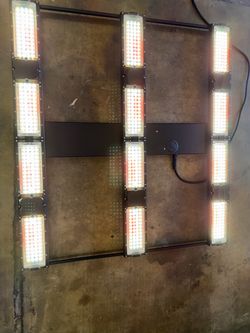 Ragging kush grow light