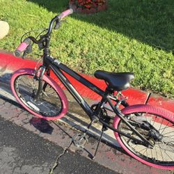 Jetson Girls Bike $30