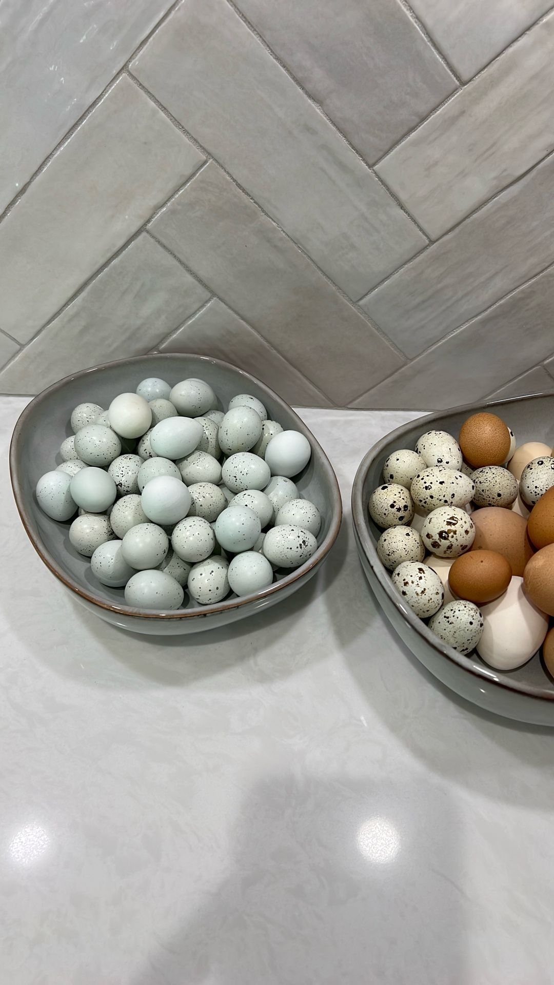 Quail Eggs
