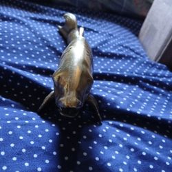 Brass Fish