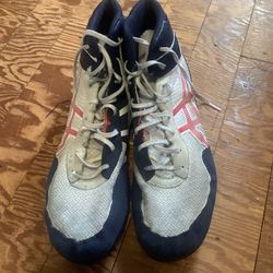 Wrestling shoes