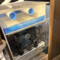 Aquarium Sump Filter 