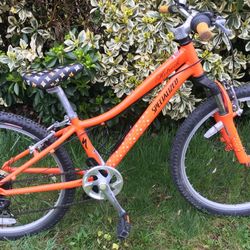 Specialized HotRock Shimano Components Kids Bike