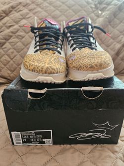 Nike LeBron XIX Low 10.5 Used