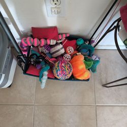 Cat supplies