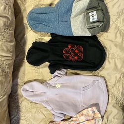 Small Dog Clothes