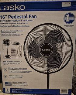 Fan