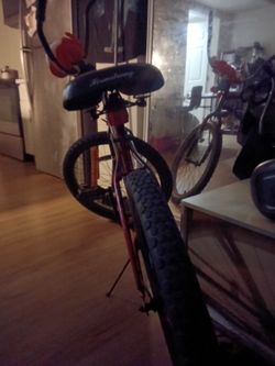 Bike cruiser