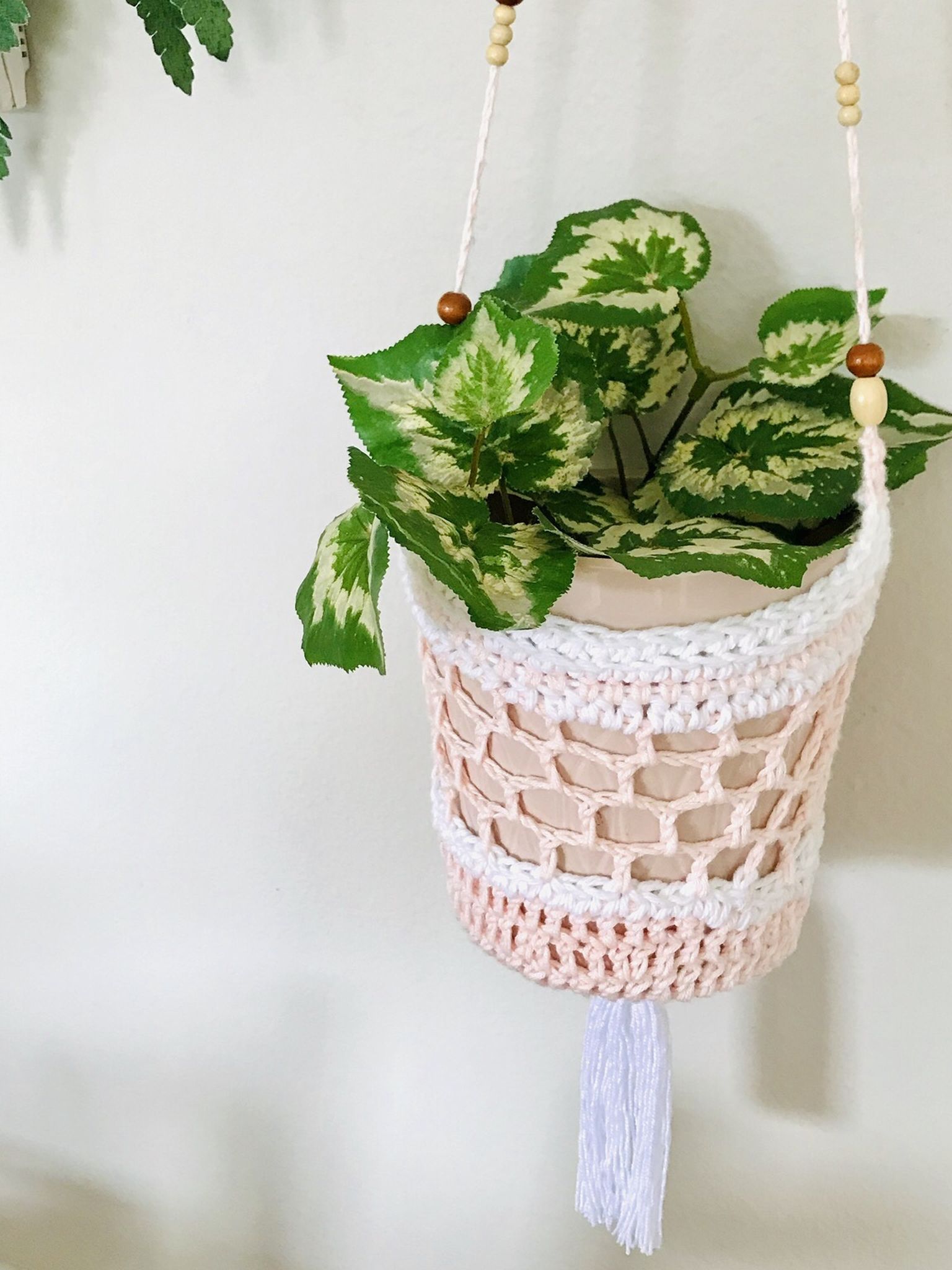 Plant Hanger with Ceramic Pot (plant included )