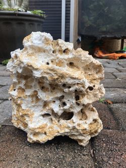 Florida Honeycomb Dry Reef Rock