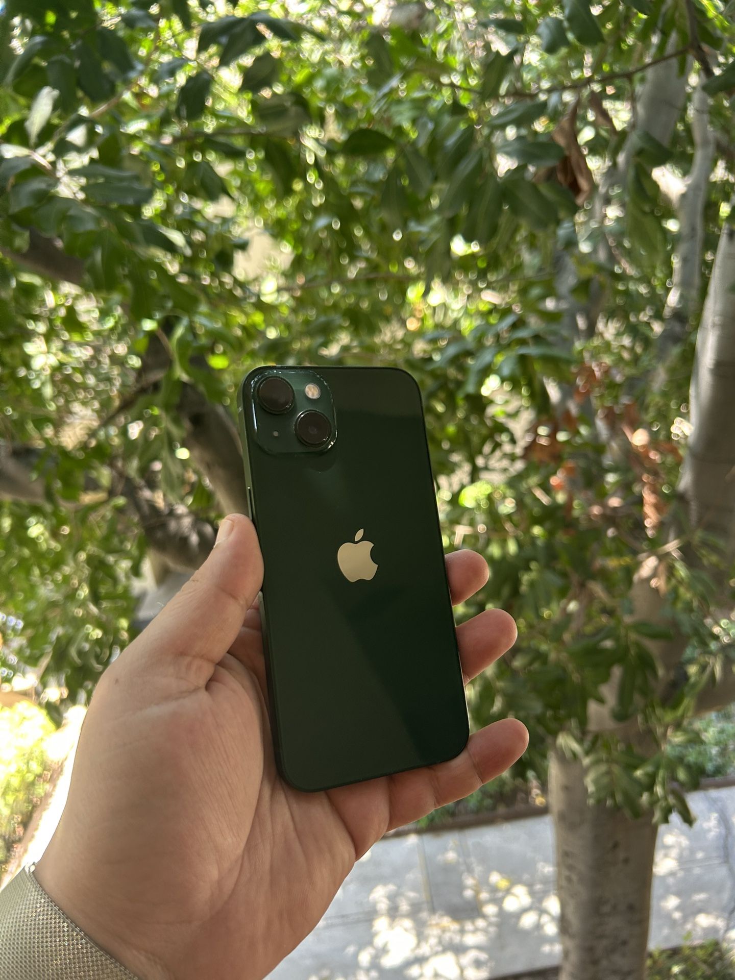 iPhone 13 256 Gb Unlocked