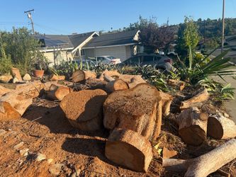 Large Cut Hardwood Logs Free Firewood