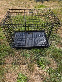 Kong large dog kennel
