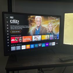 24 In Vizio Tv
