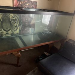 240 Gallon Fish/reptile Tank