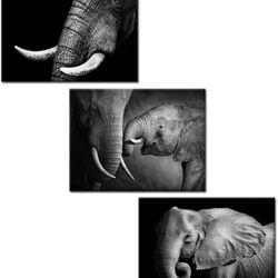 New set of 3 canvas prints each 16“ x 12“ with easy mounting hardware.