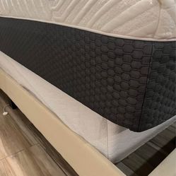 Full Bed Set – Upholstered Frame + Mattress + Box Spring – $190 OBO