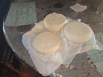 Panela