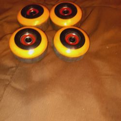 Skateboard Wheels 