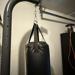Everlast Boxing Bag