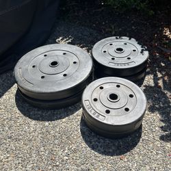 Standard Weight Plates #100lbs