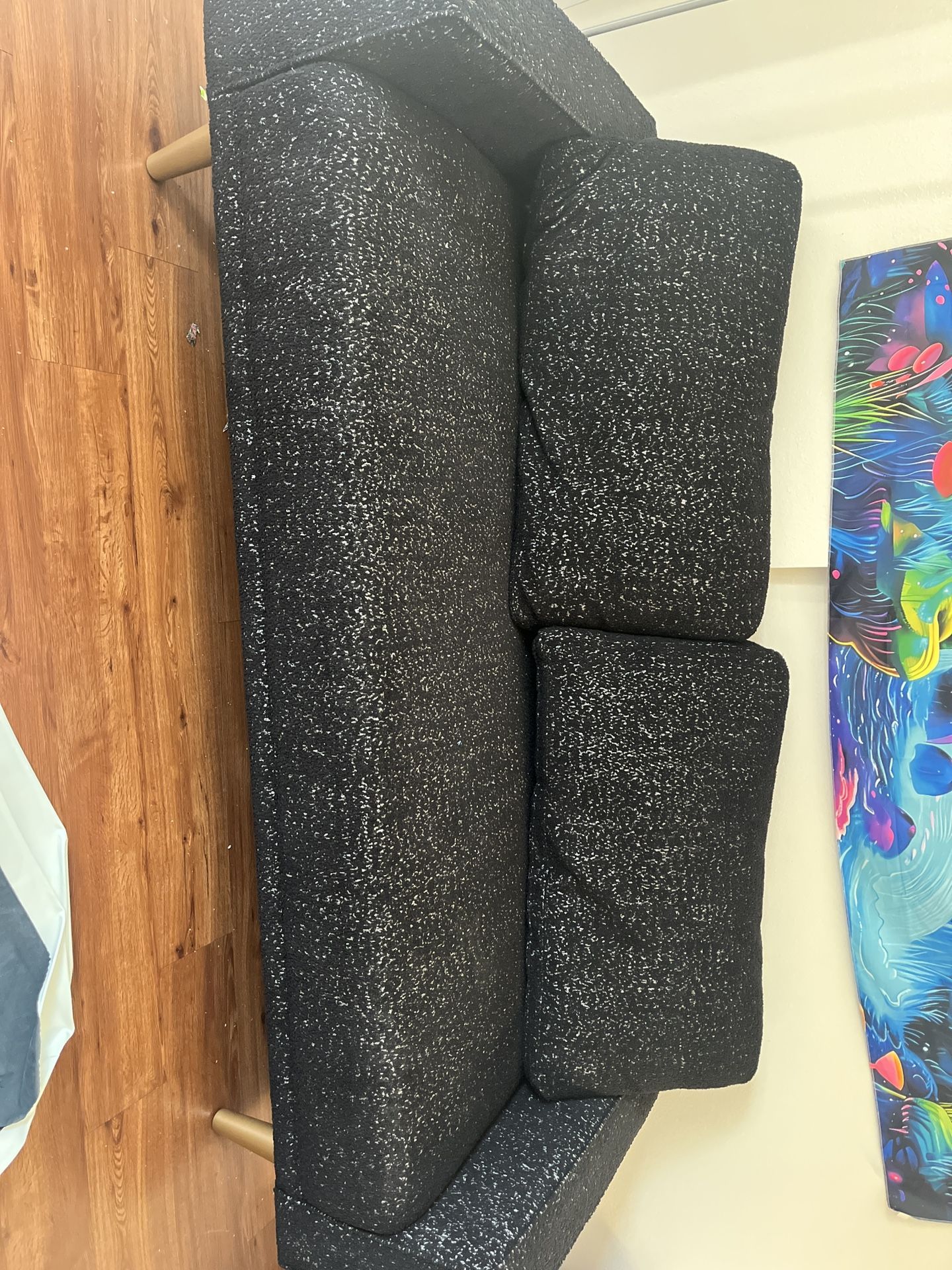 EVERYTHING MUST GO- Meteorite Print Couch With Pillows