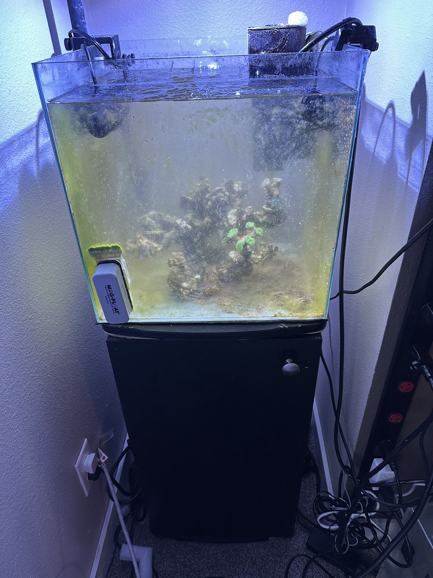 Fish Tank And Stand