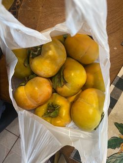 Fresh Persimmons – Bag of 4.5 pounds