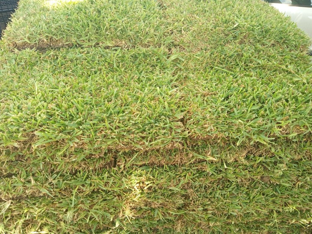 St Augustine Home & Garden