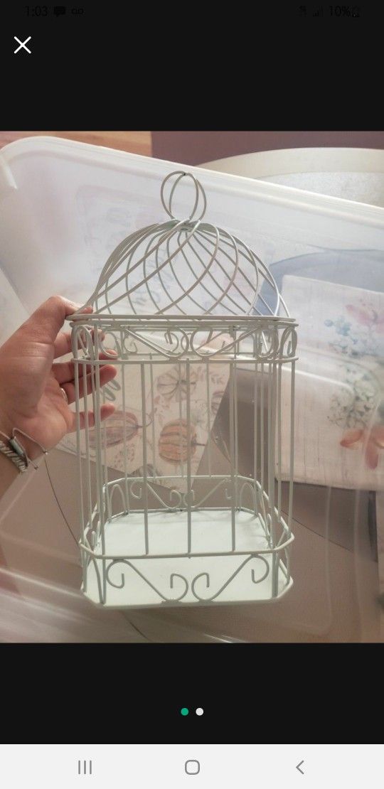 Bird Cage