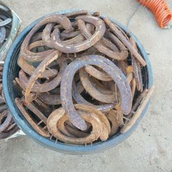 Horse Shoes
