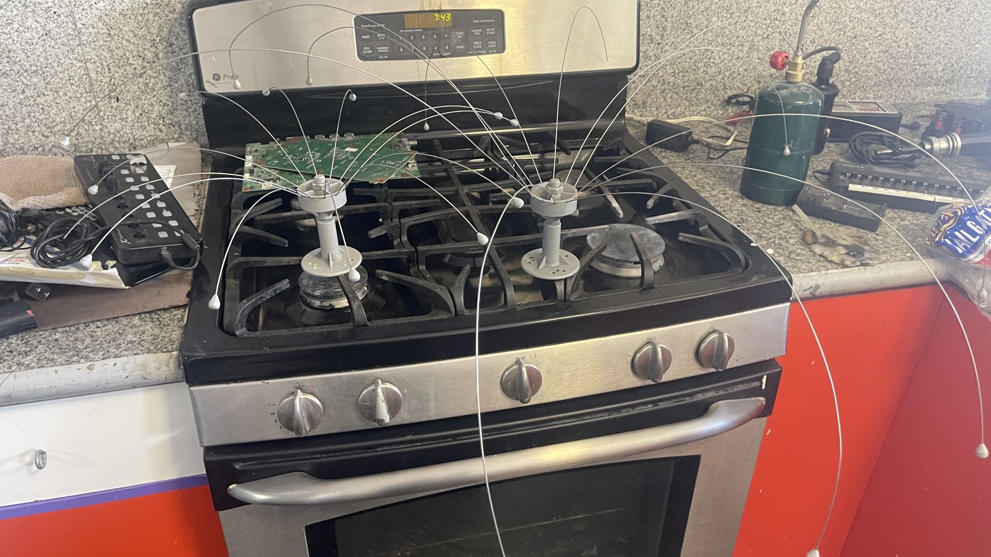 Bird Control Barrier Daddy Long Legs