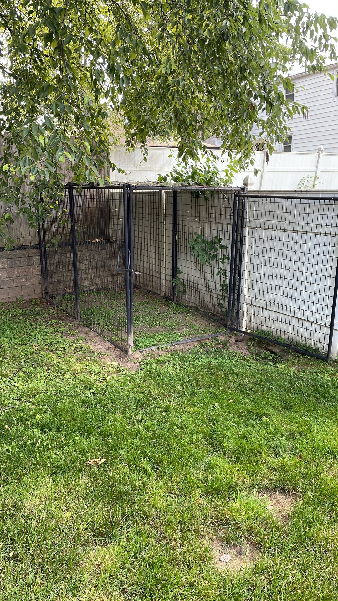 Large Animal Cage