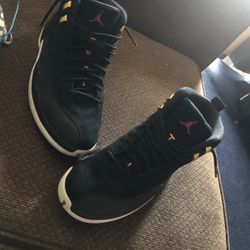 Air Jordan 12’s