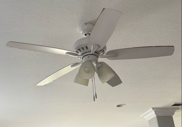Ceiling Fans
