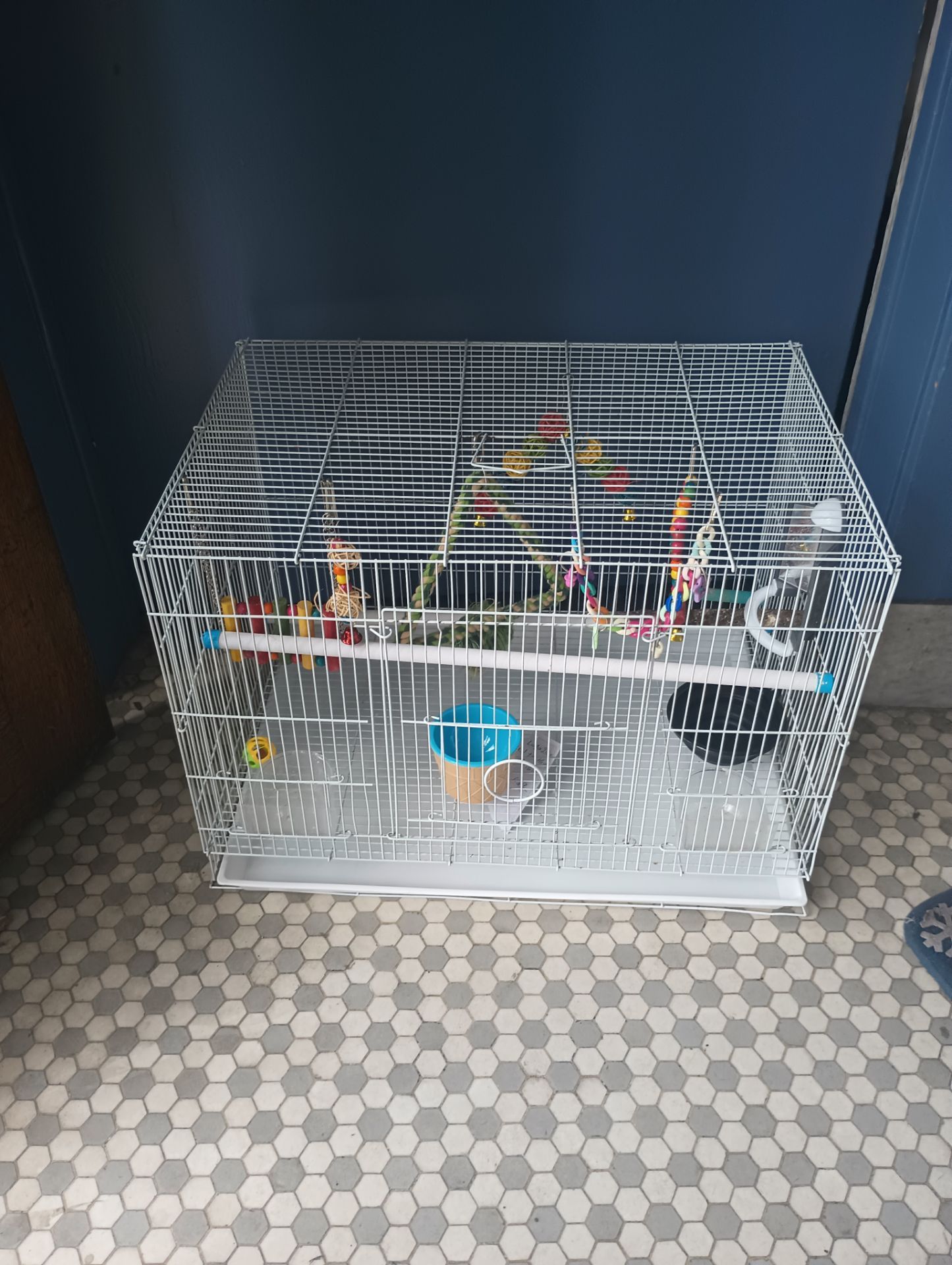 Bird cage with decoration