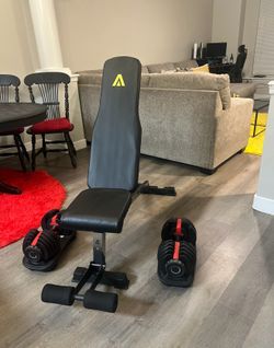 bench and adjustable free weights