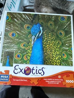 1000 Piece Puzzle (Peacock)